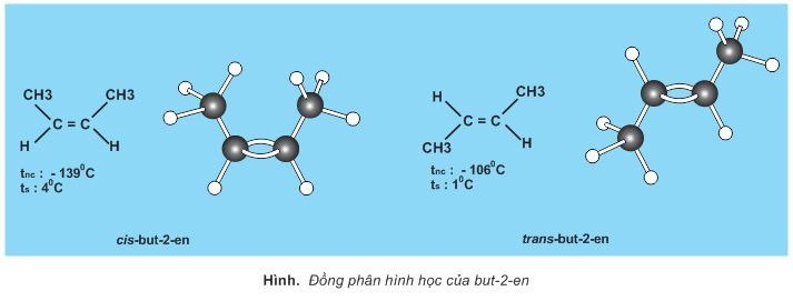 Tầm quan trọng của đồng phân